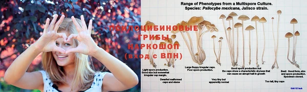 марихуана Слюдянка