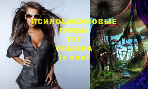 дмт Абаза