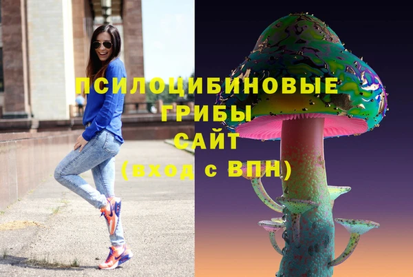 дмт Абаза