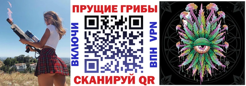 блэк спрут ссылки  Касимов  Псилоцибиновые грибы мицелий 