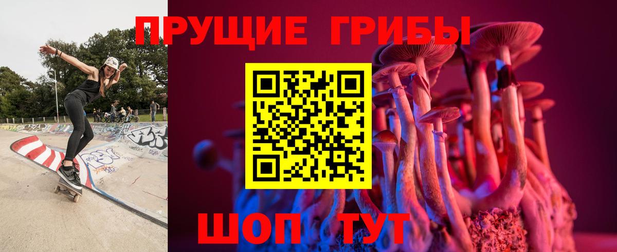 Галлюциногенные грибы Psilocybine cubensis  Псилоцибиновые грибы прущие грибы  Вход с VPN  Касимов 
