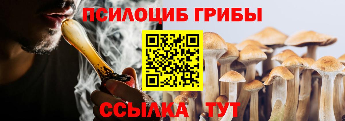 Псилоцибиновые грибы Psilocybine cubensis Касимов
